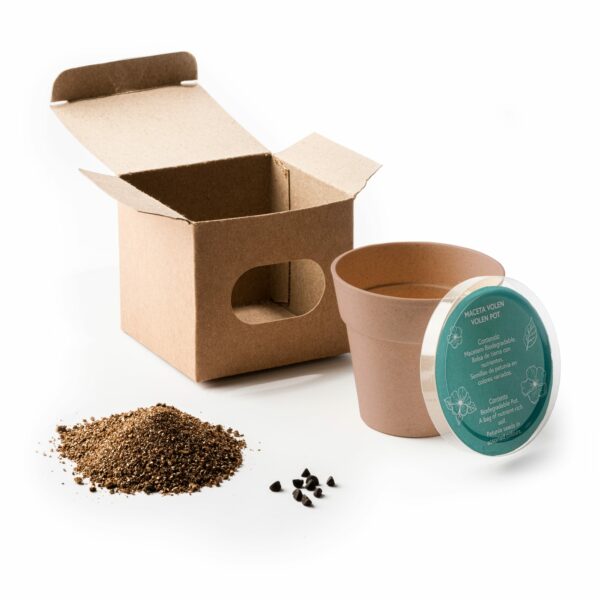 Volen flowerpot med petunia seeds - Bilde 2